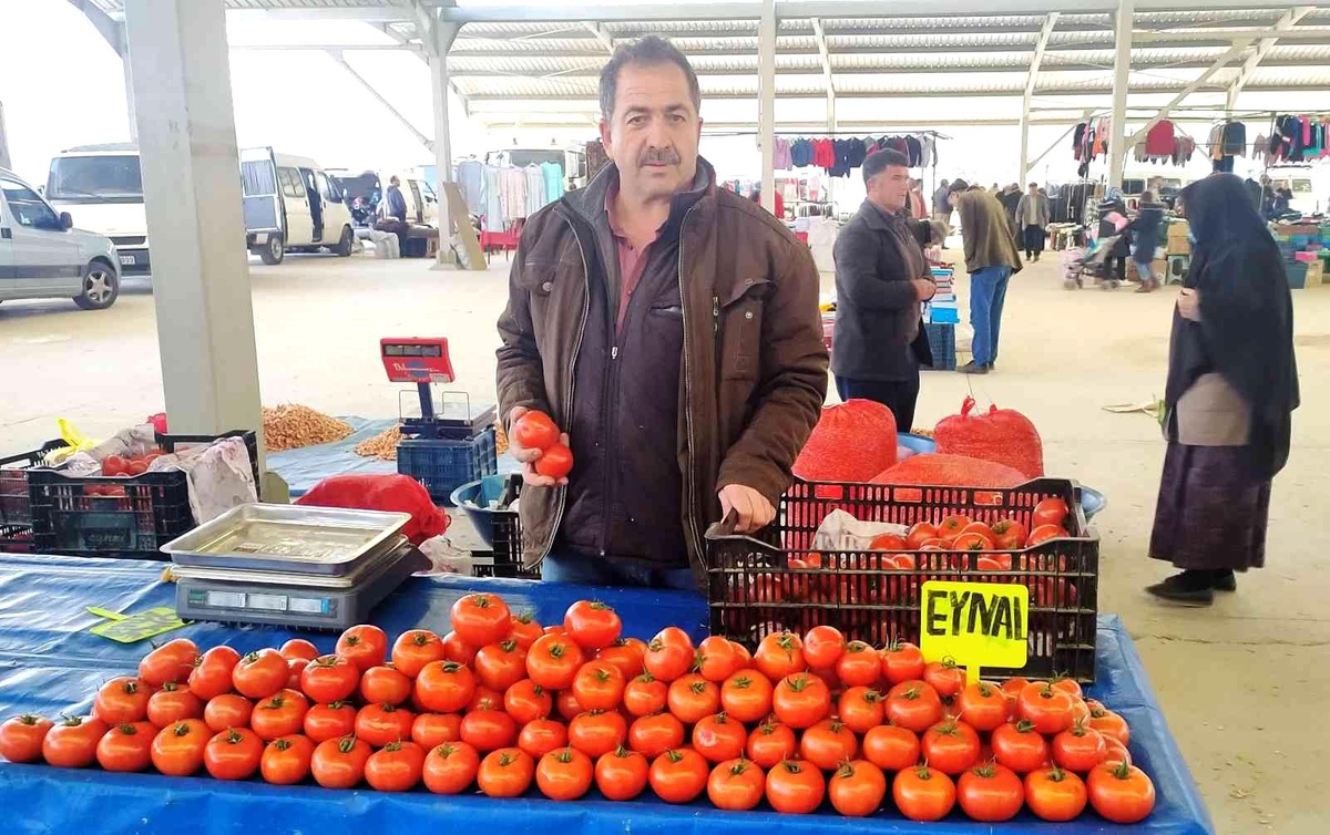 Domatesin fiyatı yarı yarıya düştü