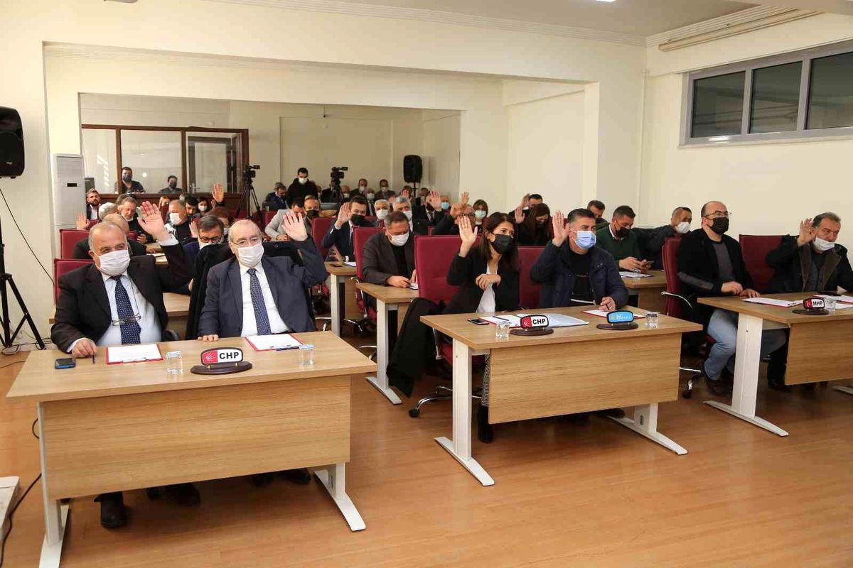 Efeler'in enginar yavru vatana uzanacak