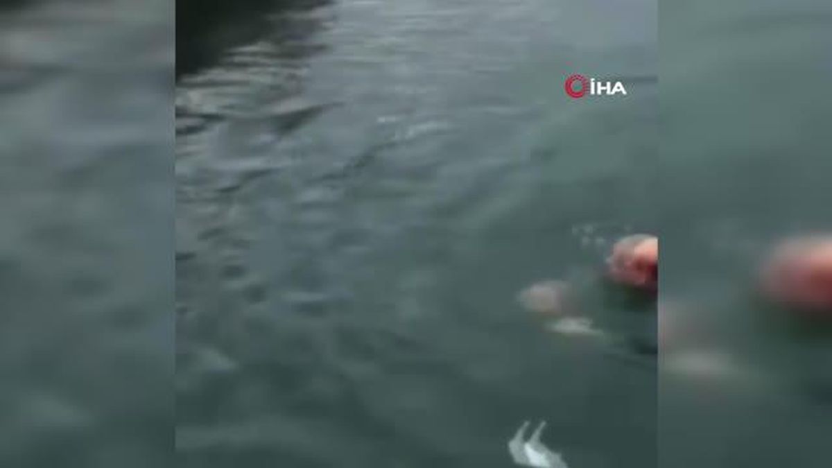 El ele tutuşup denize atlayan yaşlı çifti vatandaşlar kurtardı