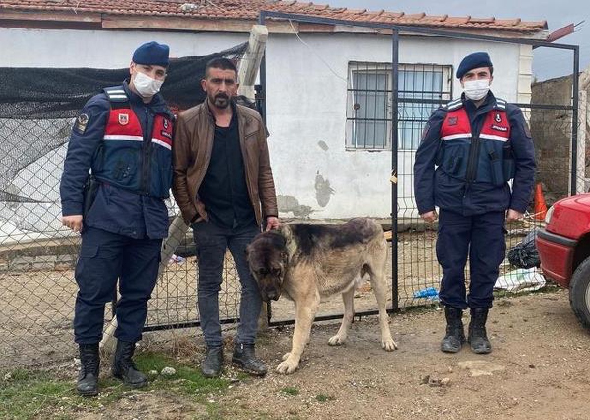 Kırıkkale\'de çaldığı köpeği tanınmaması için boyayan şüpheli yakalandı