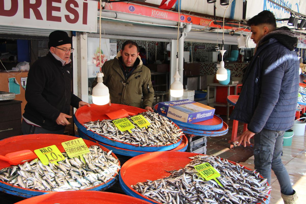 Marmara Denizi\'nde umduğunu bulamayan balıkçılar rotayı Ege\'ye çevirdi