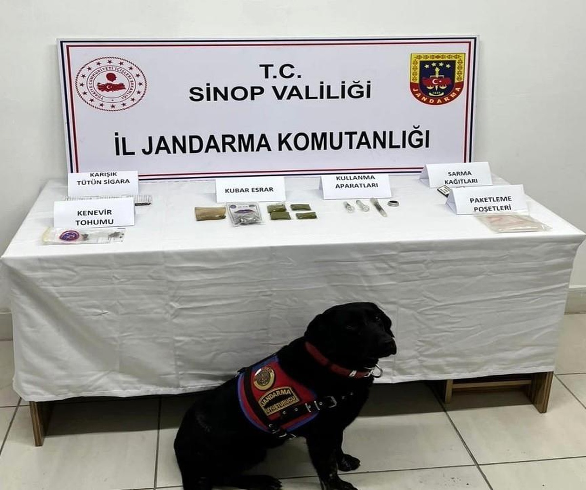 Son dakika haberleri | Sinop\'ta iki ayrı uyuşturucu operasyonu