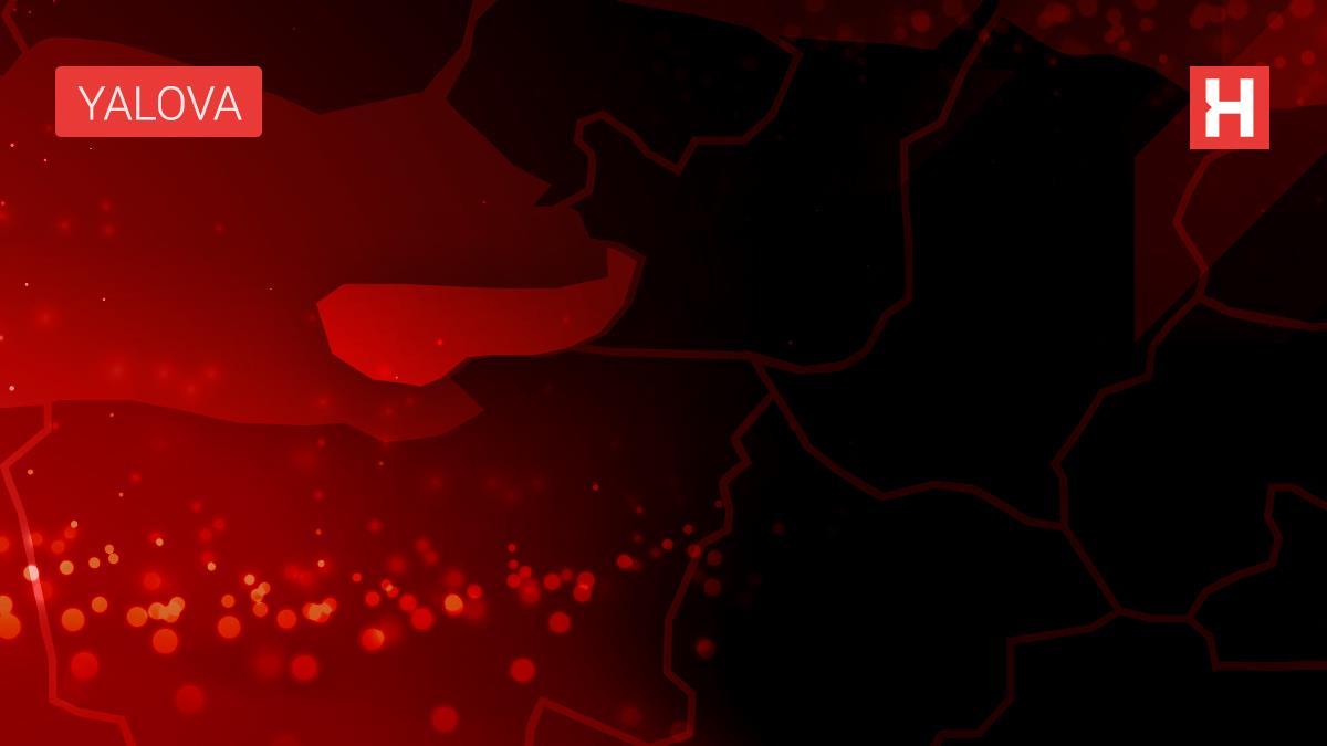 TİGEM arazisinde süs bitkisi üretip ihraç ediyorlar