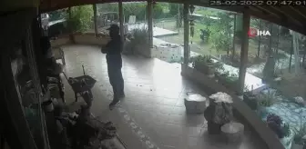 Bağ evinden televizyon ve altın çaldılar... O anlar kamerada