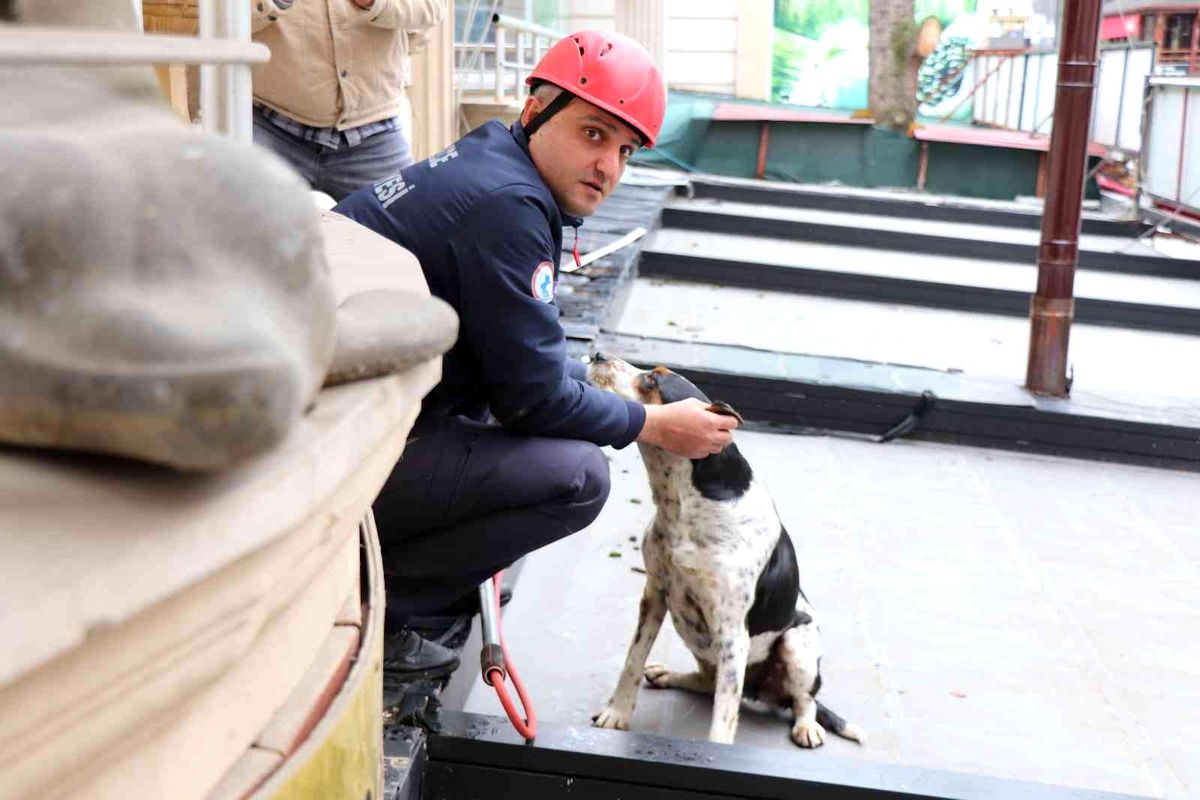 Çatıda kalan köpeği itfaiye kurtardı