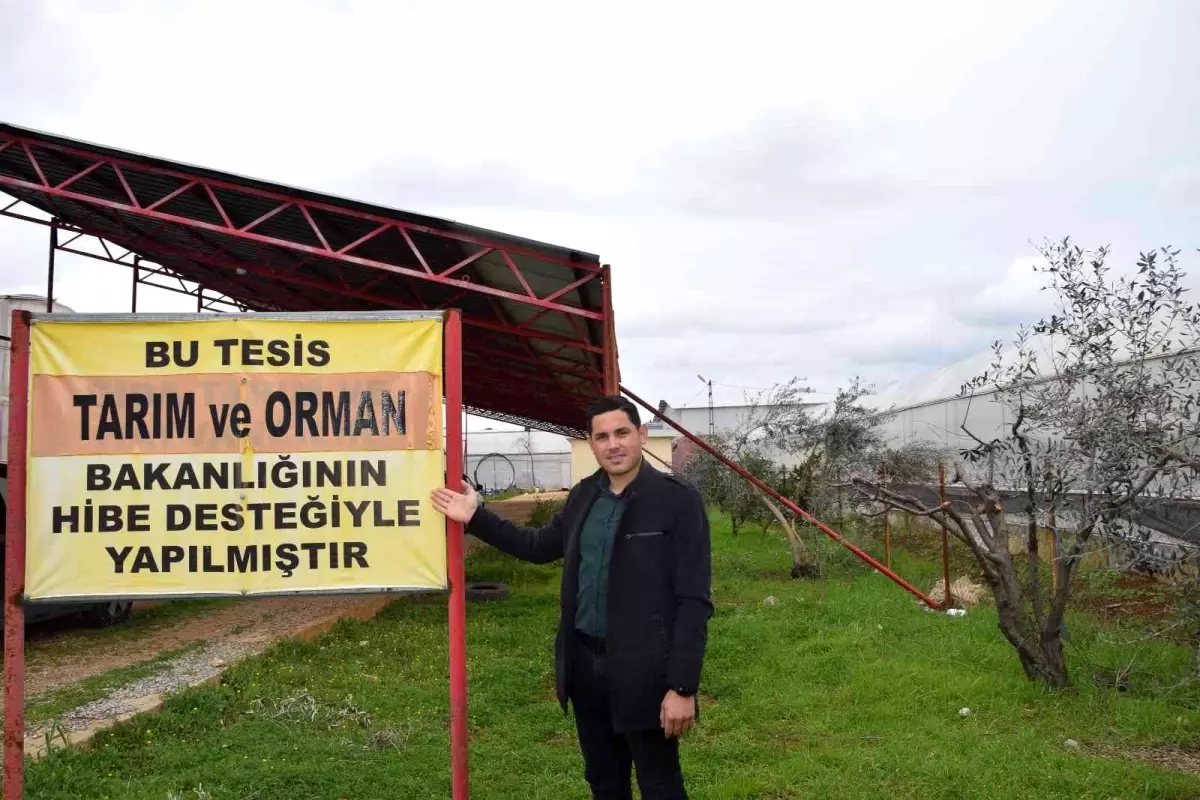 Güneş enerjisinden elektrik üretti! Fazlasını firmalara satarak ek gelir elde etti