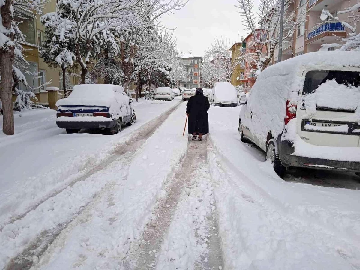 Afyonkarahisar\'da karla mücadele