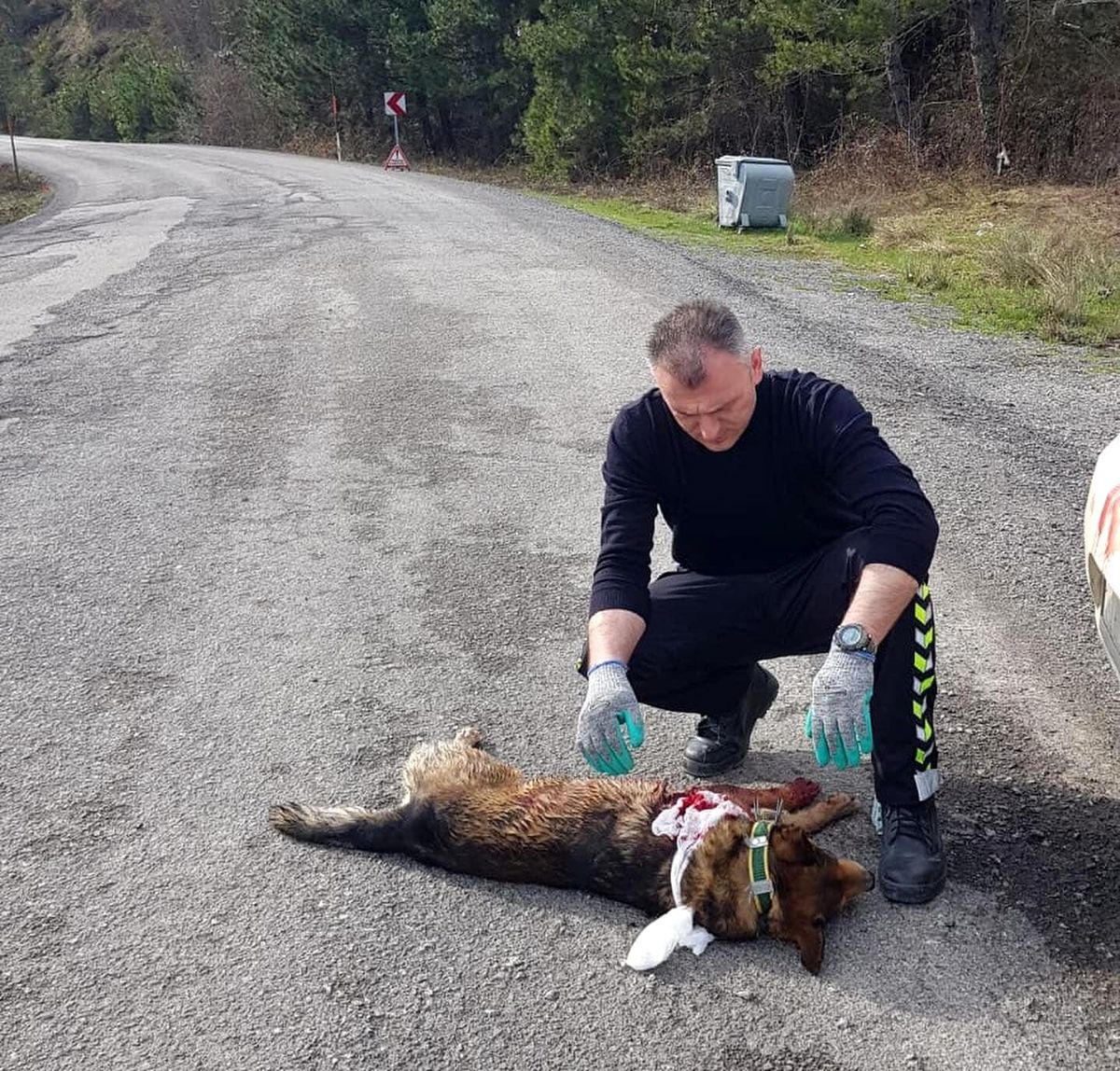 Aracın çarptığı köpeğe devriye gezen trafik ekipleri sahip çıktı