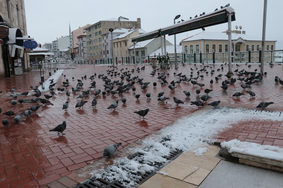 Bolu\'da kar yağışı etkili oluyor