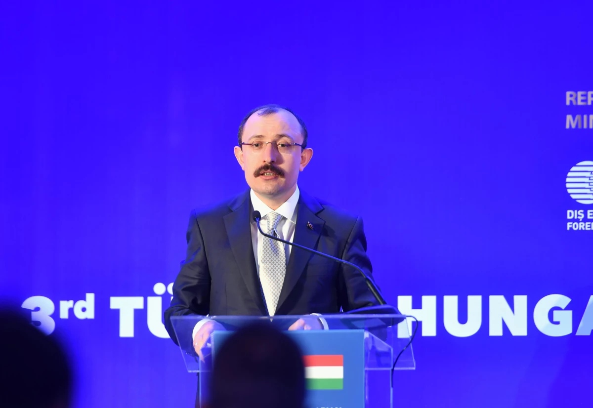 Budapeşte\'de "Türkiye-Macaristan 3. Go Africa İş Forumu" düzenlendi