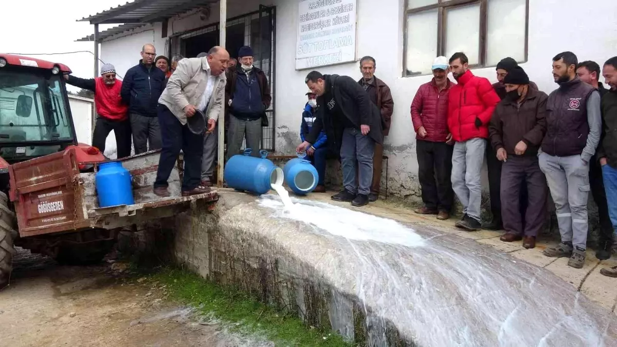 Çanakkale\'de mandıracılara kızıp 200 kilogram sütü döktüler