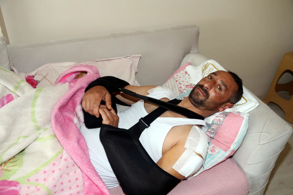 Domuz saldırısı sonucu yaralanan kişi tedavisinin ardından taburcu edildi