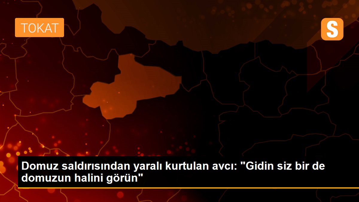 Domuz saldırısından yaralı kurtulan avcı: "Gidin siz bir de domuzun halini görün"