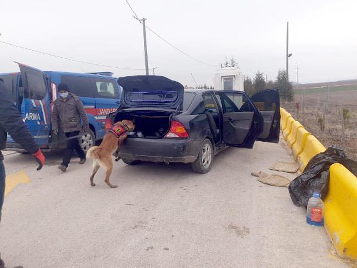 Jandarma durdurdu, otomobildeki uyuşturucuyu \'Tetik\' buldu