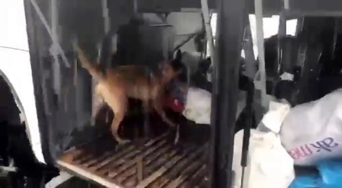 Süngere emdirilmiş 3 kilo eroini narkotik köpek Eris buldu