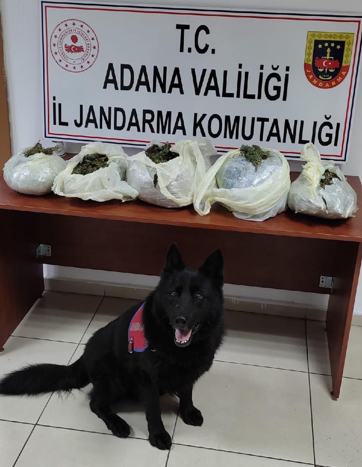 Adana\'da 7 kilo 904 gram esrar ele geçirildi