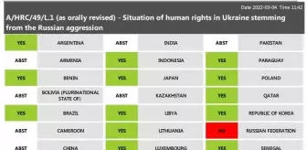 BM İnsan Hakları Konseyi, Rusya'nın Ukrayna'da işlediği iddia edilen suçlarını soruşturacak