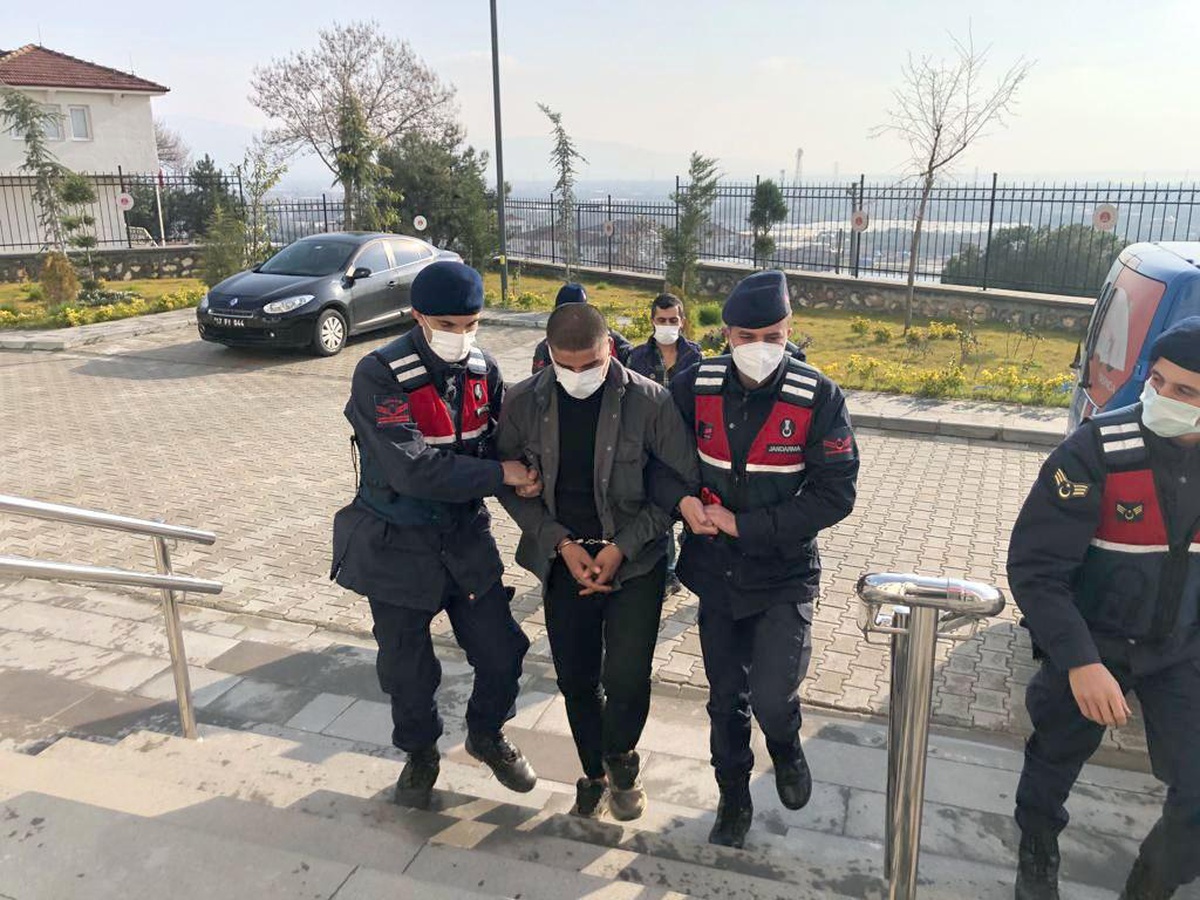 Bursa\'da 2 bin zeytin fidanı çalan hırsızlar İstanbul\'da yakalandı