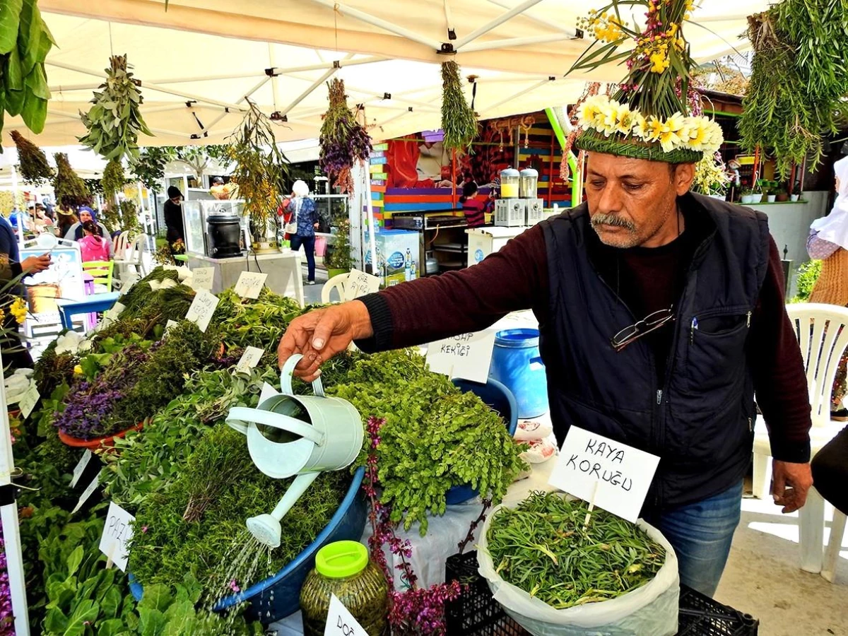 ÇEŞTOB Başkanı Demir: "Alaçatı Ot Festivali Ege festivali gibi olmaya başladı"