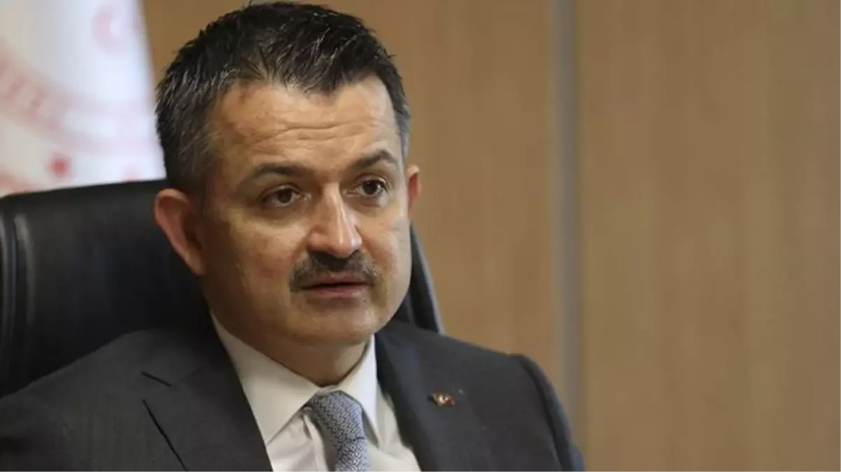 İstifa eden eski bakan Bekir Pakdemirli\'den ilk açıklama