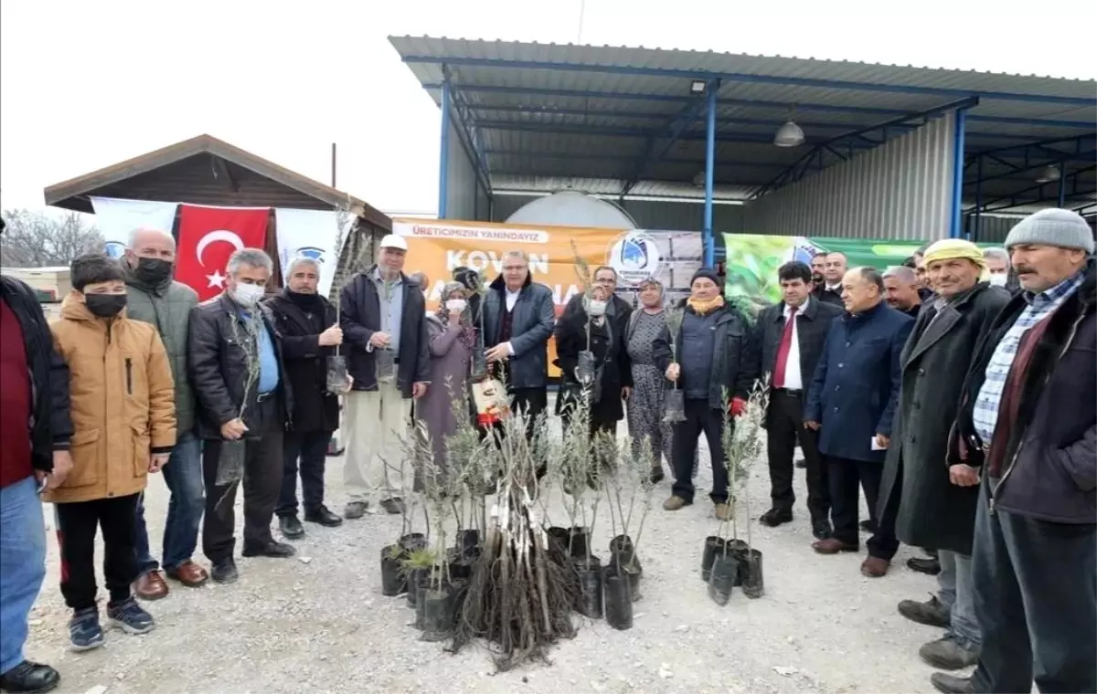 Yunusemre Belediyesinden üreticilere fidan ve kovan desteği