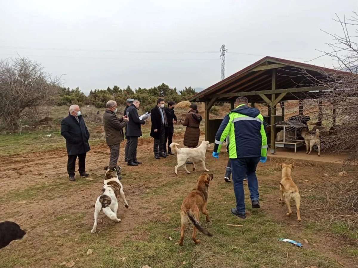 Beslenme noktalarını incelediler