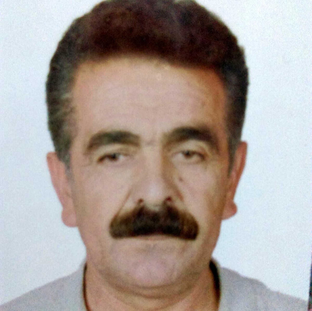 Kestiği ağacın altında kalarak ağır yaralanan adam hayata tutunamadı