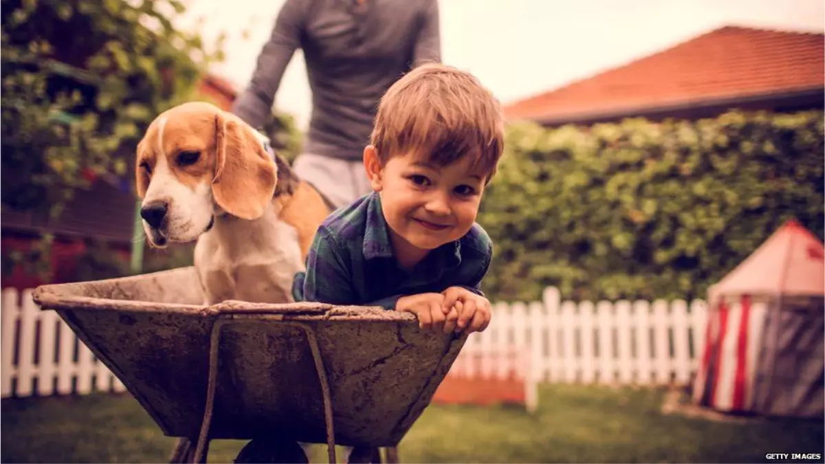 Köpekler nasıl insanın en iyi arkadaşı oldu?