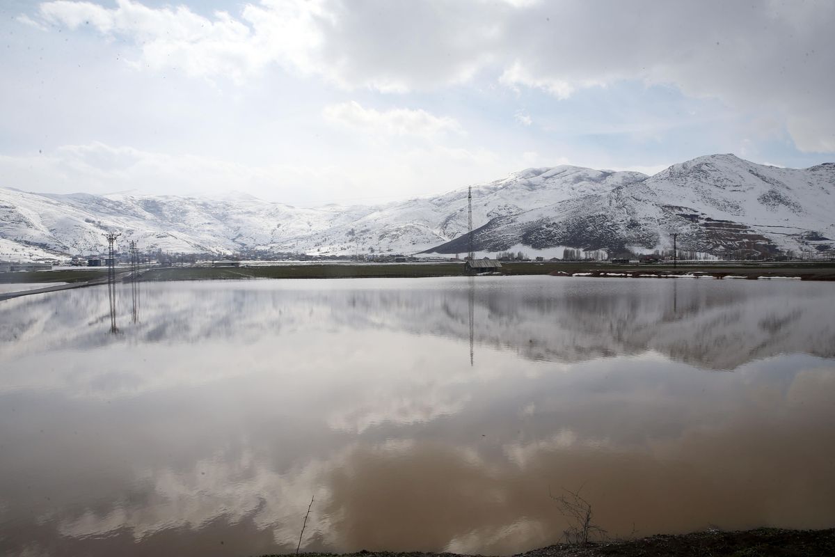 Muş Ovası'nda bazı bölgeler eriyen kar ve sağanak nedeniyle suyla kaplandı
