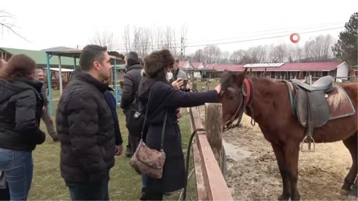 Seyahat acenteleri Kastamonu\'daki at çiftliklerine hayran kaldı