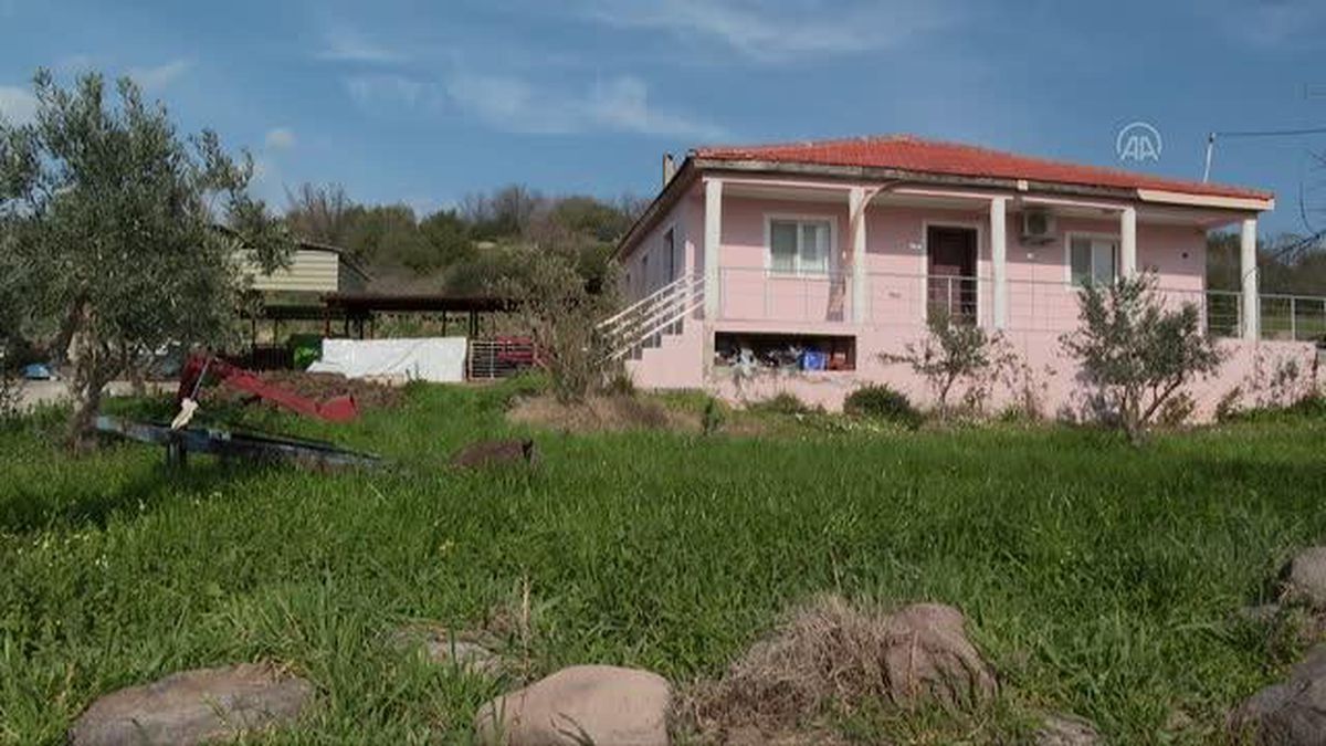 Devletten aldığı destekle sürü sahibi oldu