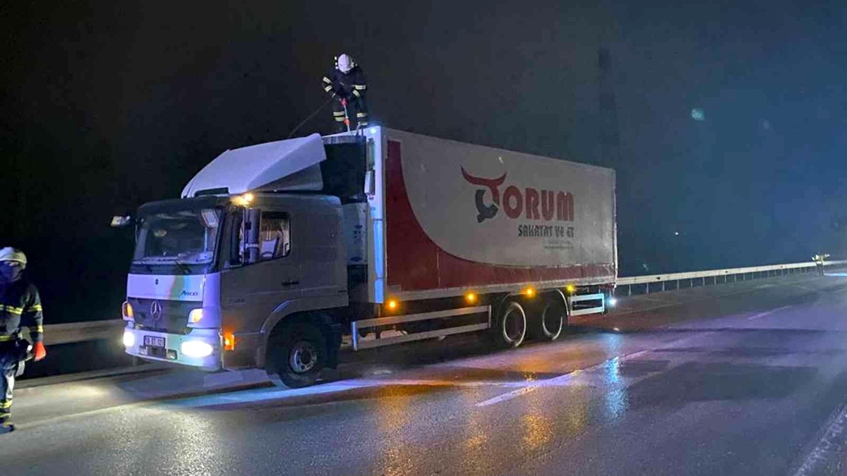 Son dakika! Sakatat ve et yüklü kamyonda yangın çıktı