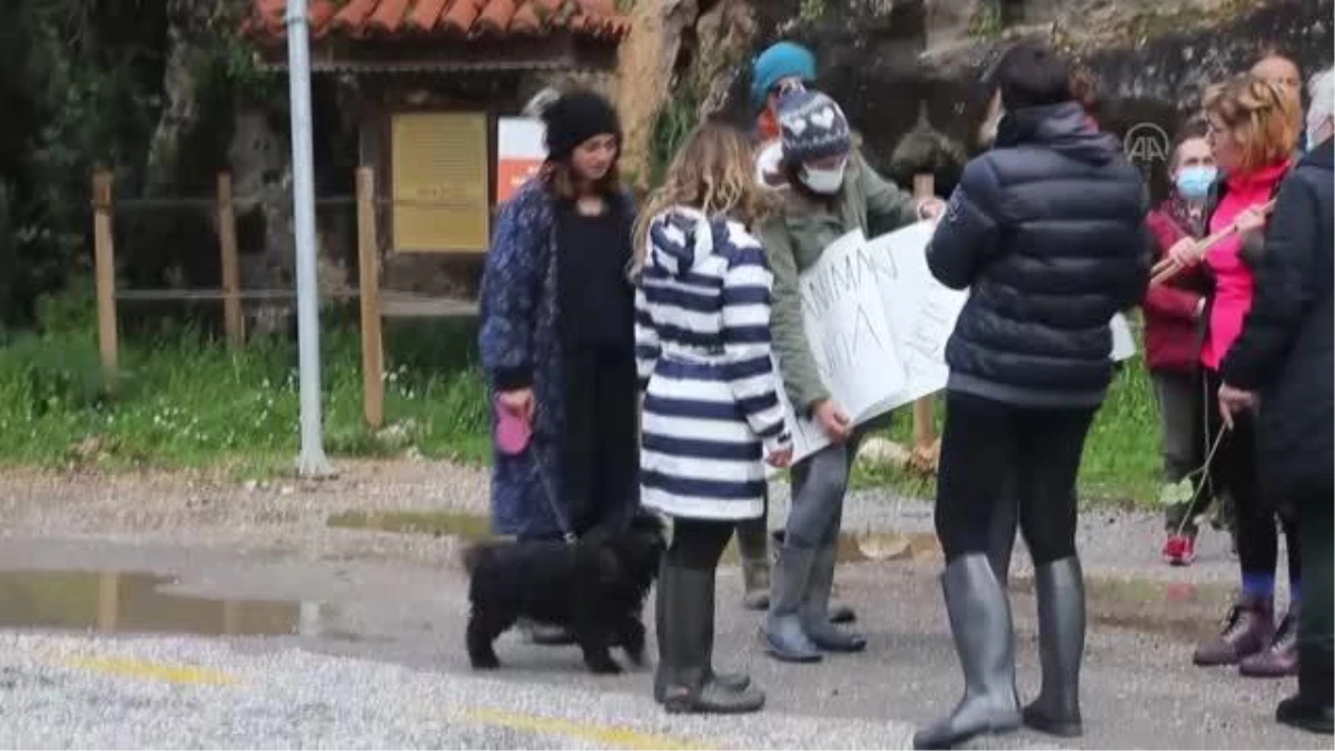 Bir köpeğin ağaca asılarak öldürülmesi tepki gördü