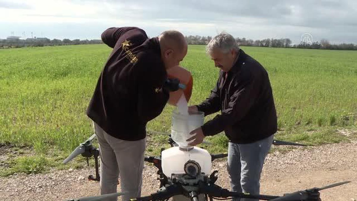 Buğday tarlası insansız hava araçları ile gübrelendi