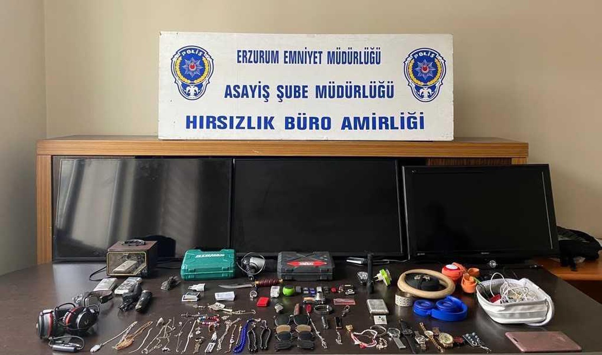 Erzurum\'da 8 evden hırsızlık yapan şüpheli tutuklandı