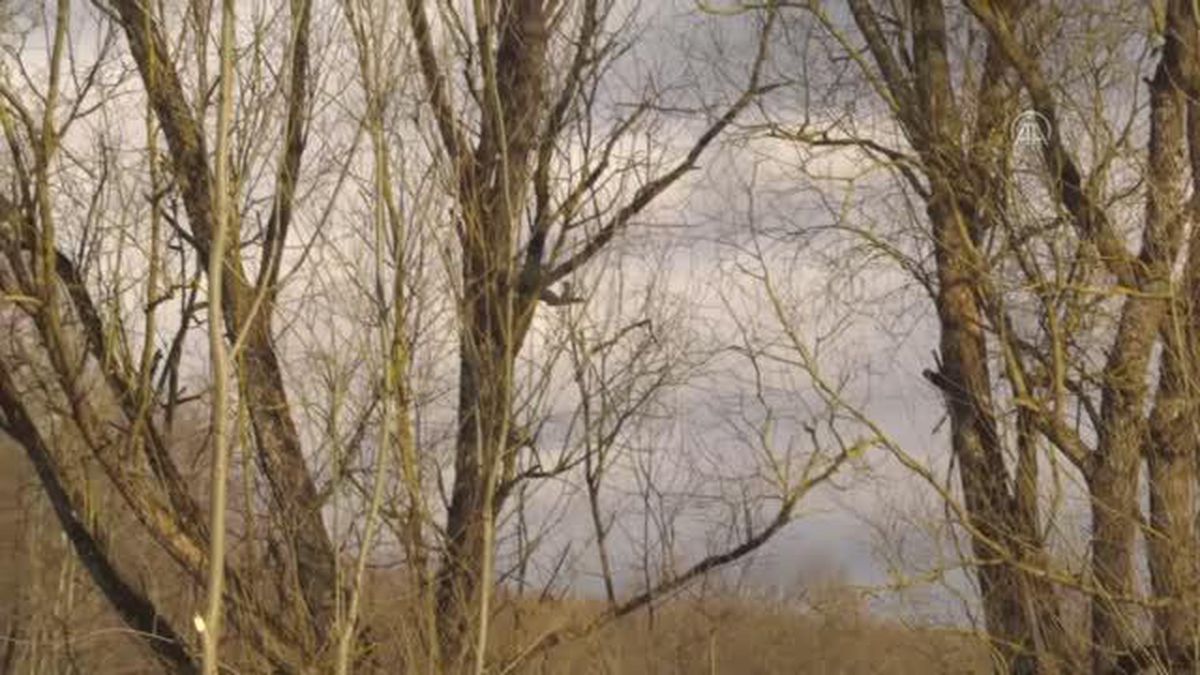 Heyetler Rusya ile Ukrayna arasındaki müzakerelerin üçüncü turu için Belarus'ta