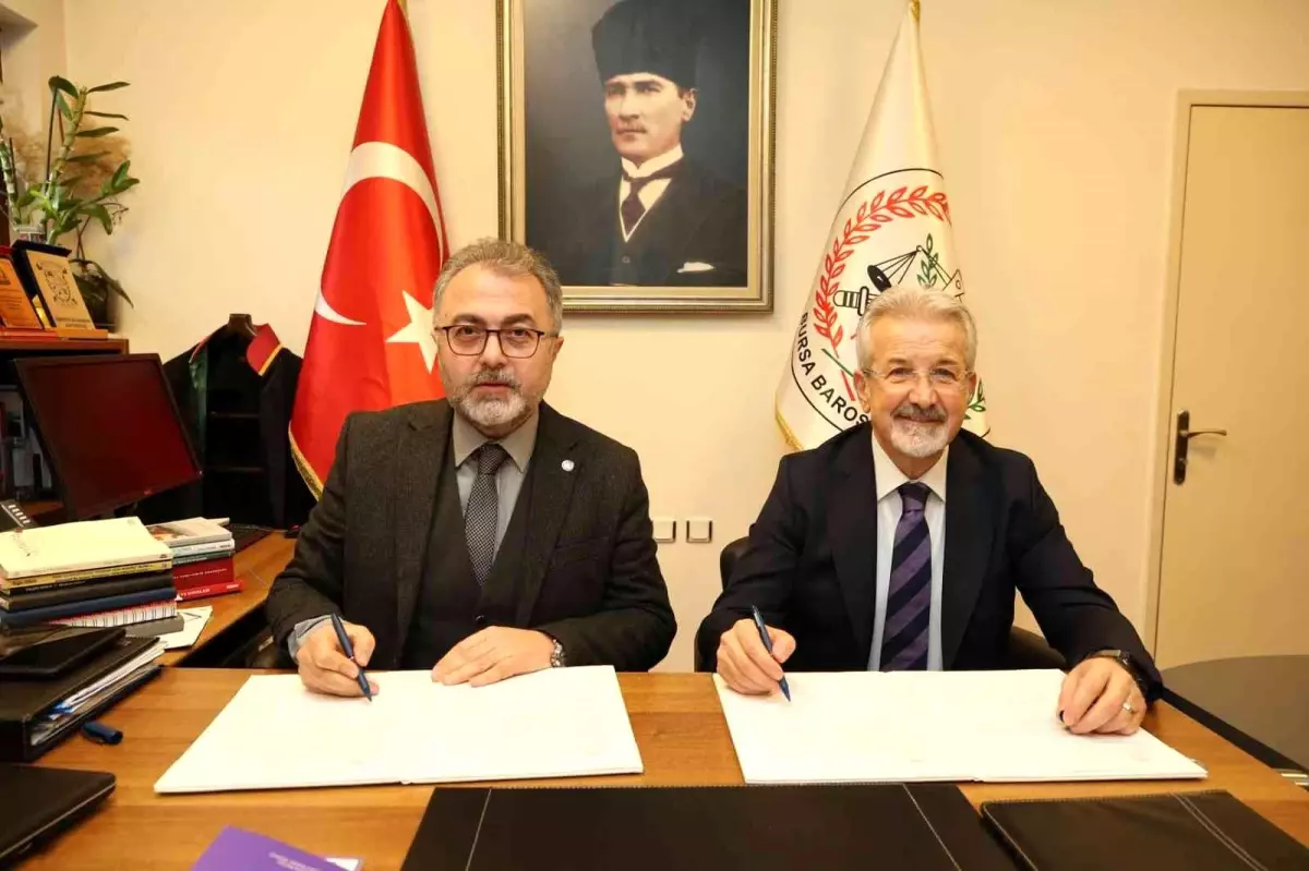 Kadına yönelik şiddete karşı güç birliği