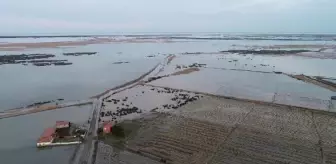 KIZILIRMAK DELTASI'NDAKİ MAHALLEDE 'TAŞKIN' KORKUSU