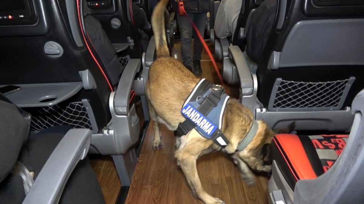 Narkotik köpeği \'Tepe\' uyuşturucu madde buldu