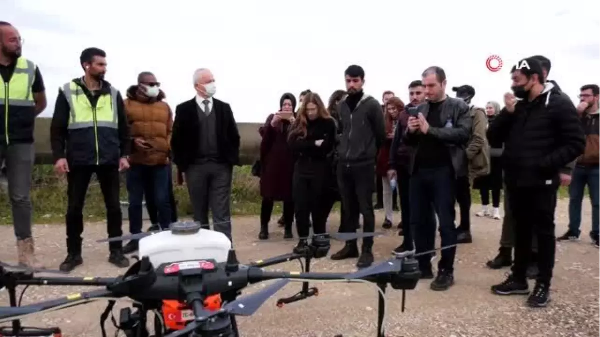 Tohumlar dronela gübrelendi... Aksu Çiftliği\'nde drone ile katı gübre uygulaması