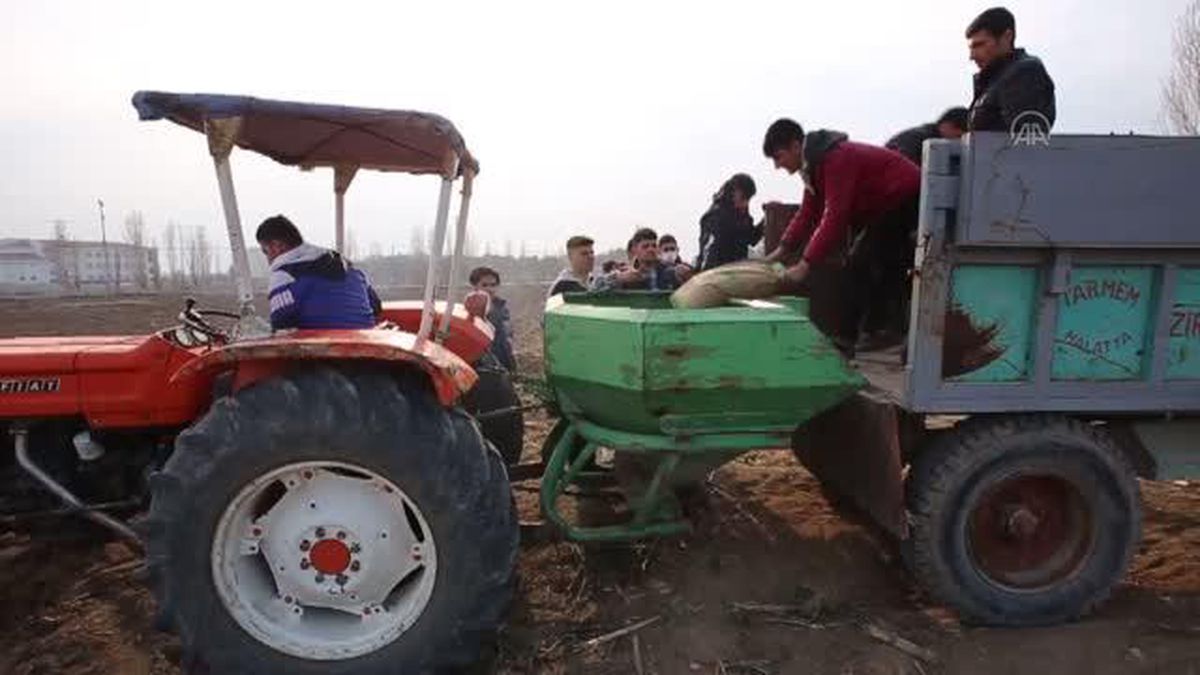 'Ziraat Okulu' öğrencileri çiftçiliği uygulamalı öğreniyor