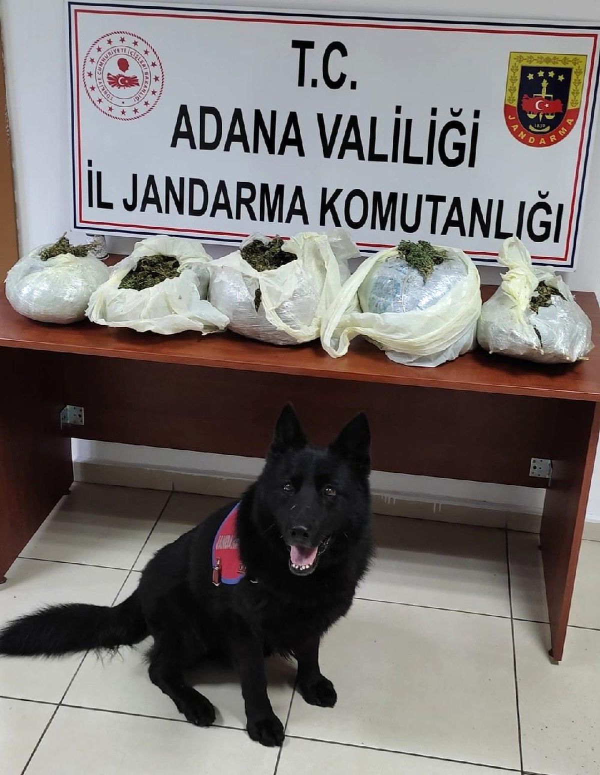 Adana\'da uyuşturucu operasyonu: 1 gözaltı