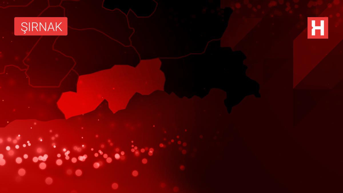 Son dakika haberleri... Cumhurbaşkanı Başdanışmanları, Şırnak'ta temaslarda bulundu