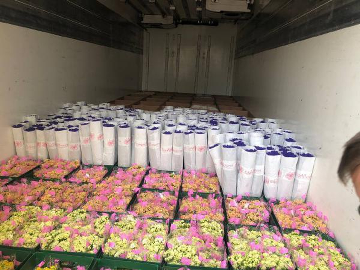 Dünya Emekçi Kadınlar günü için Enerhodar\'a 35 bin çiçek gönderildi