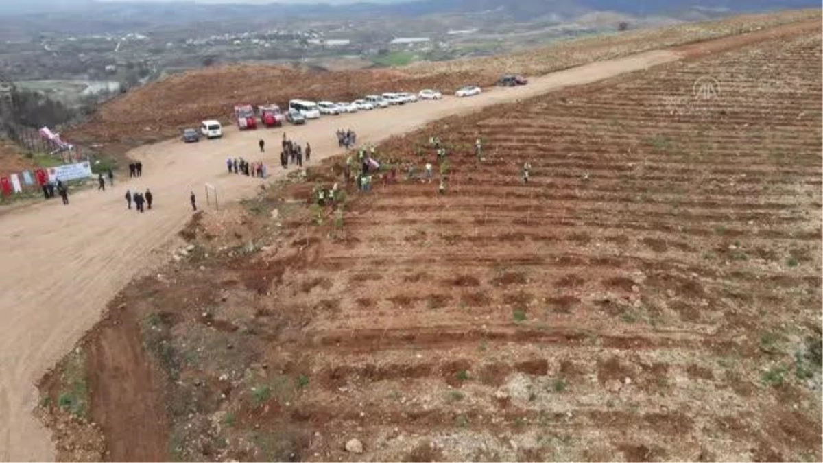 Manavgat\'ta yanan alanda Kadın İşçiler Hatıra Ormanı oluşturuldu