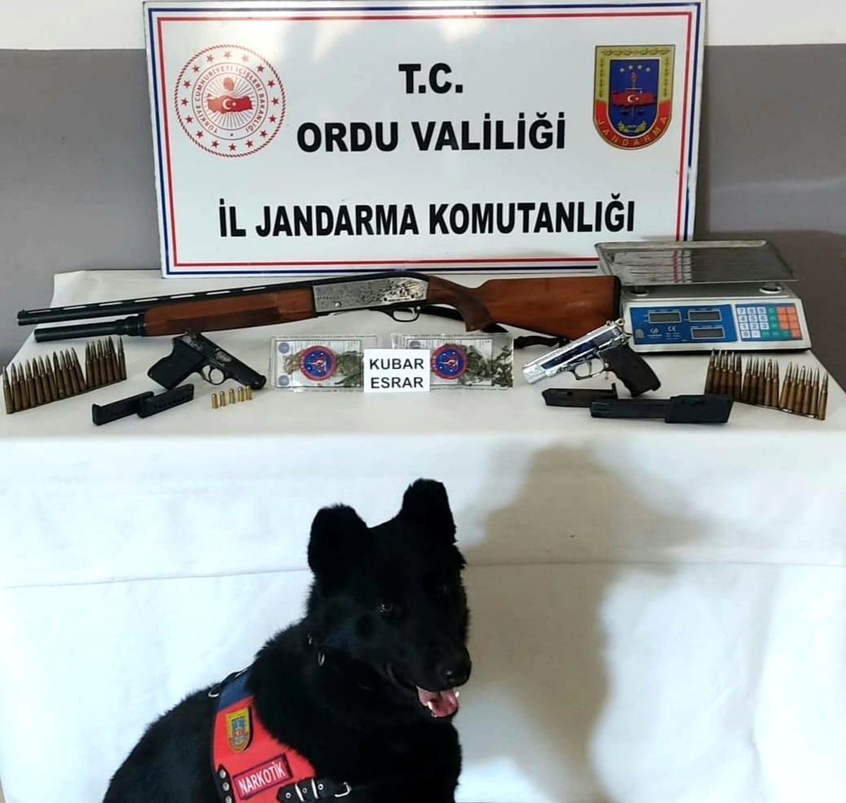 Ordu\'da uyuşturucu mücadelesi