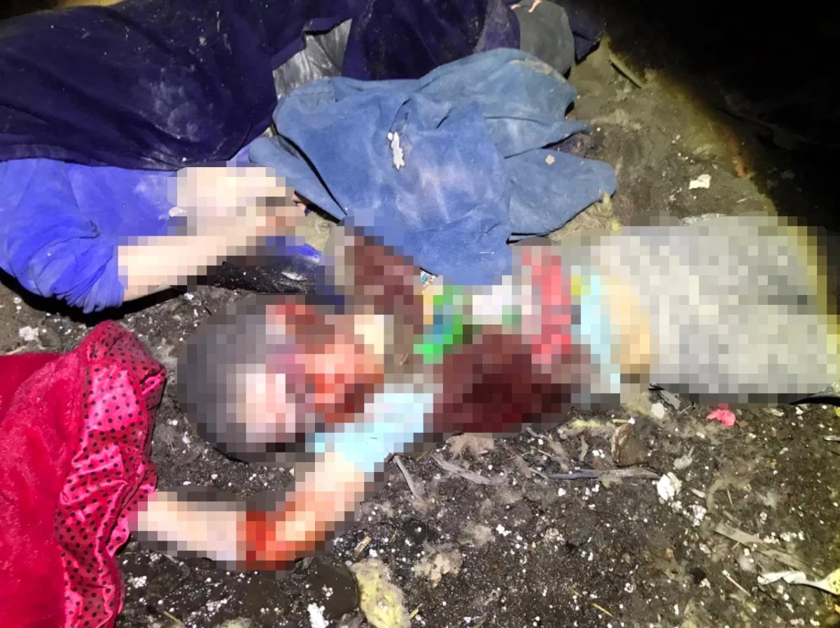 Son dakika haberleri: Rusya\'nın Sumi\'deki saldırılarında 2\'si çocuk 9 sivil ölü