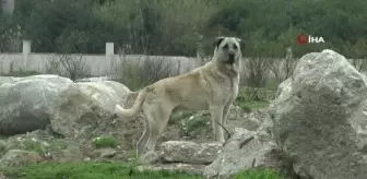 Tedavisi süren 9 yaşındaki Mahra'dan ilk kare