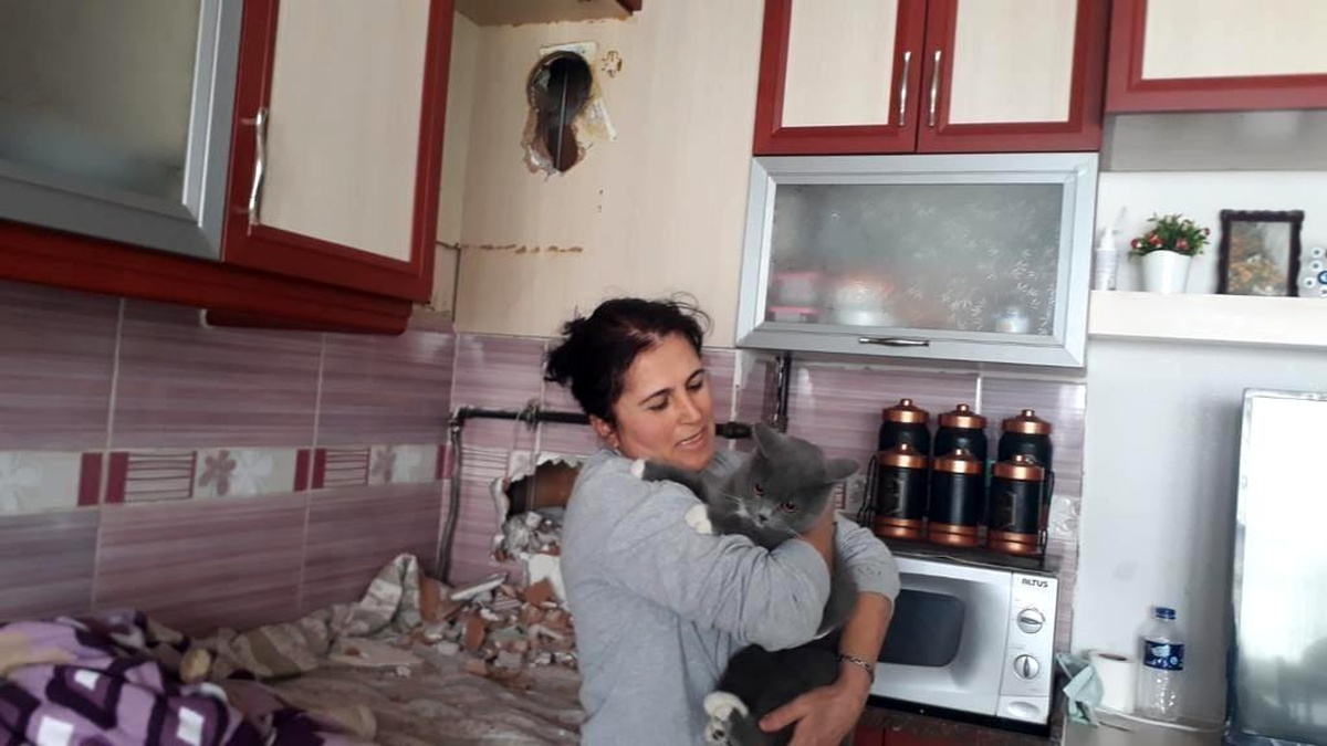 Bacaya sıkışan kediyi itfaiye ekipleri kurtardı