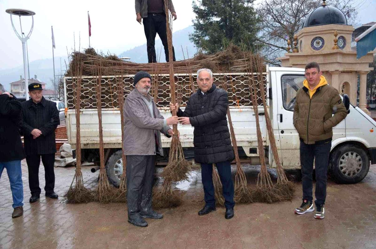 Bilecik'te 4 bin 150 adet cennet hurması dağıttı